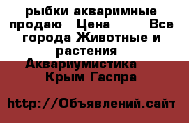 рыбки акваримные продаю › Цена ­ 30 - Все города Животные и растения » Аквариумистика   . Крым,Гаспра